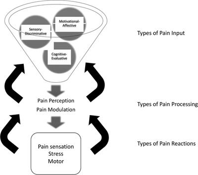 Precision, integrative medicine for pain management in sickle cell disease